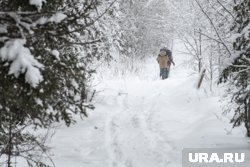 Маршруты экотроп проходят по природным территориям Перми