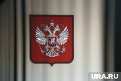 Заявление к рассмотрению еще не принято