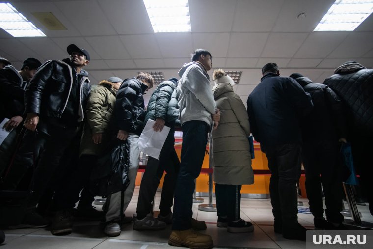 Нелегалов обнаружили в ходе рейда дружинников и полиции