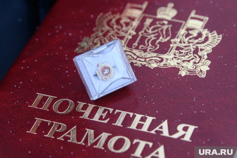 Доцент из Шадринска стала обладательницей грамоты от Министерства просвещения (архивное фото)