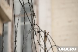 Софронов находится в исправительном учреждении поселка Забрат