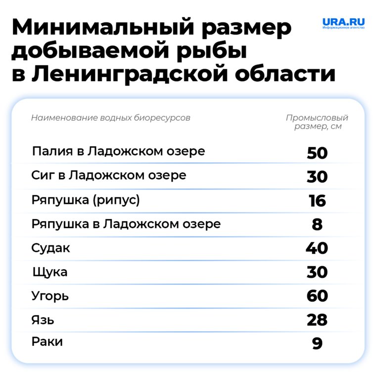 Ловля рыбы в Ленинградской области начинается в июне