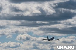 Птица врезалась в лобовое стекло ВС на высоте 400 футов (121,92 метр)