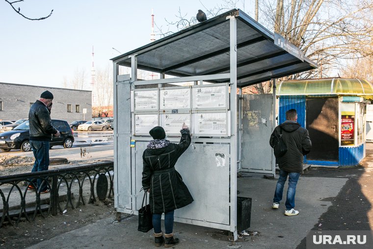 Упала остановка на улице «Сквер Гимназистов» 