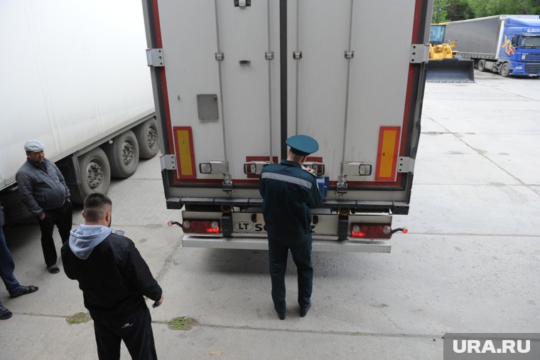 В Челябинскую область завезли более тысячи тонн семян подсолнечника из Китая