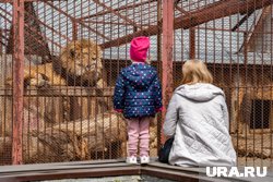 Ввод объекта будет в эксплуатацию состоится в ближайшее время