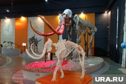 У мини-макета слона появится старший брат, который перерастет мамонта