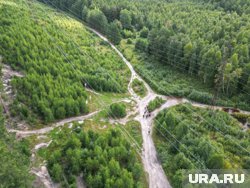 Спасатели ночью искали заблудившихся в лесу ямальцев