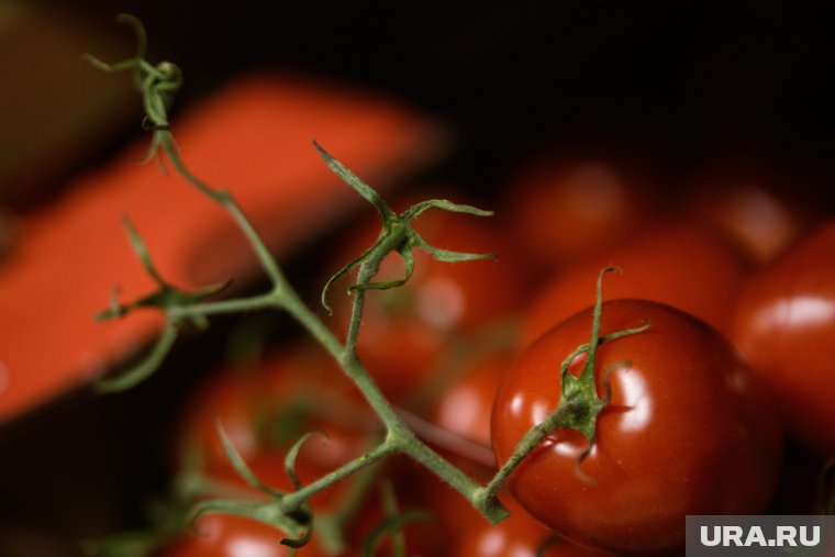 Томатные заготовки порадуют вкусом лета даже с приходом зимы
