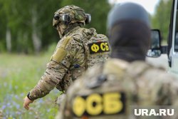 Сотрудники ФСБ задержали Дину Шведкину