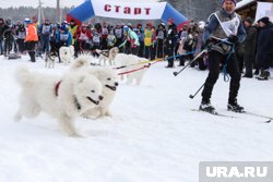 В Курганской области «Лыжня России» пройдет на базе в селе Темляково