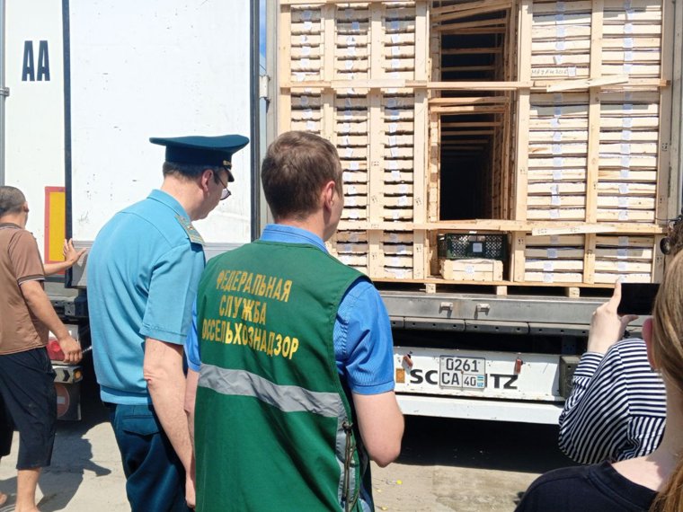 На челябинской границе трафик машин с растительной продукцией вырос в три раза