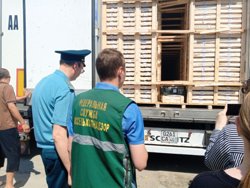 На челябинской границе трафик машин с растительной продукцией вырос в три раза