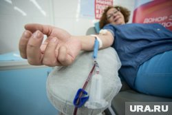 Клетки костного мозга могут забрать из крови или из тазовой кости под наркозом