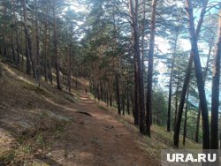 Для туристов здесь предусмотрены тропы и веломаршруты 