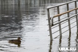 В Тюменской области введен режим ЧС регионального уровня