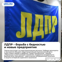ЛДПР за новые заводы и жесткая миграционная политика