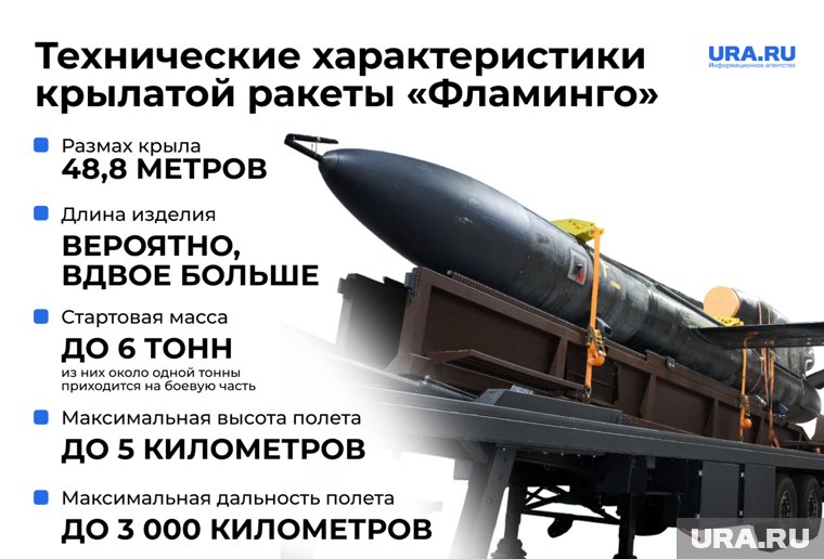 Технические характеристики ракет «Фламинго» 