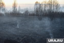 Огонь с травы перекинулся на дом и надворные постройки (архивное фото)