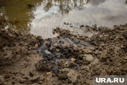 Также компанию заставили устранить все признаки загрязнения почвы и воды