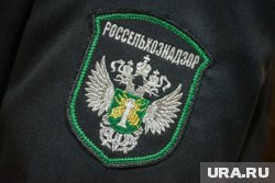 Грязь в цеху специалисты Россельхознадзора обнаружили от пола до потолка