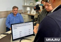 Челябинцы все чаще выбирают дистанционное голосование 