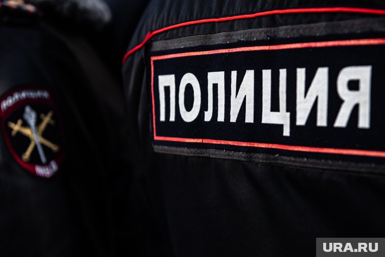 Силовики организовали расследование
