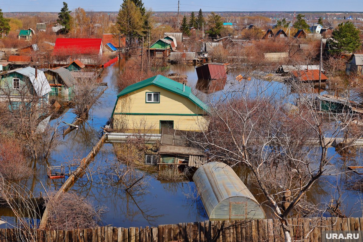 Мужской и женский стриптиз, Шоу, Эскорт Лангепас