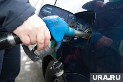 Бензин и дизельное топливо продолжают дорожать в Курганской области