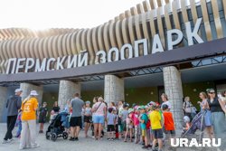 Старт открытию пермского зоопарка дал Владимир Путин