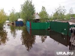 В Ишимском районе затоплены первые частные дома. Видео