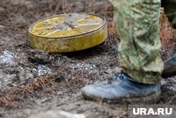 ВСУ маскирует мины и сбрасывает при помощи беспилотников (архивное фото)