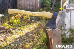 В Тюменской области появился необычный вид туризма для молодежи поколения Z