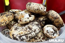 Грибы собирают жители