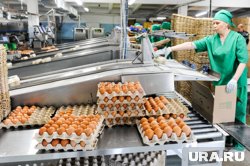 Единственным владельцем птицефабрики стало подмосковное ООО «ПРО Яйцо»