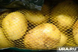 Минимальная цена картофеля в сетевых магазинах Челябинска составила 17,9 рубля за килограмм