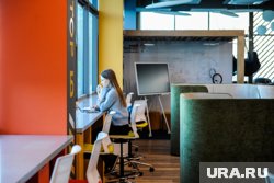 Десятки тысяч курганцев работают на фрилансе 