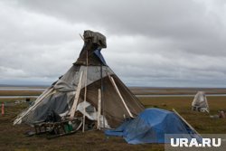 Международный день коренных народов мира отметят в Салехарде  