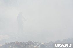 Площадь пожара составила 3 тысячи кв. м. 