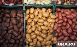 Куда девать некрасивые овощи