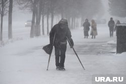 В Кургане и области прогнозируют метель