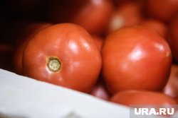 Опасную партию уничтожили