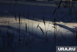 Приметы и поверья 8 октября