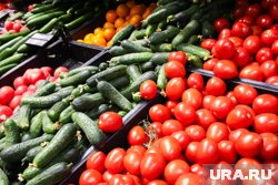 Рост цен на помидоры составил более 16%