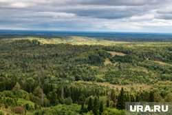 Некоторые считают, что причиной пропажи мог стать несчастный случай