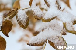 В течение дня в Кургане потеплеет, но не более чем до +2 градусов