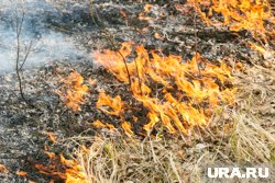 В Курганской области на свалке заметили пламя и людей