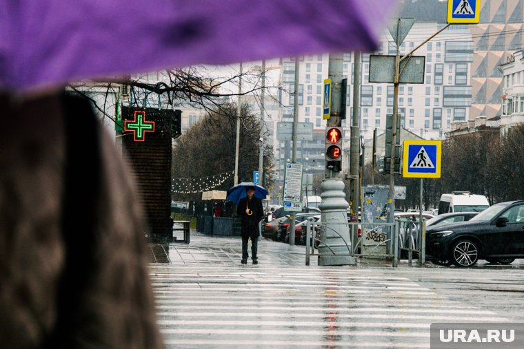 Московскую область несколько дней заливает дождем