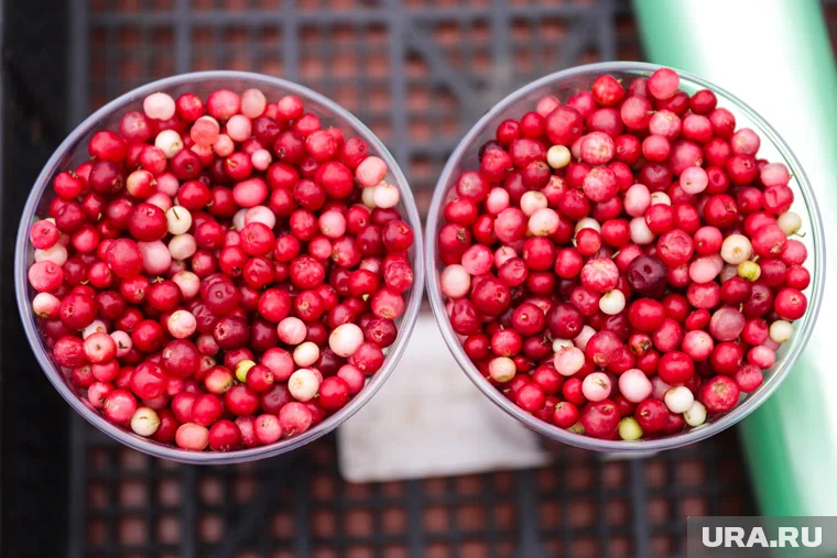 Во многих регионах этот день отмечают фестивалями и ярмарками