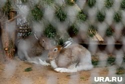 Теперь животные будут содержаться на территории крестьянско-фермерского хозяйства